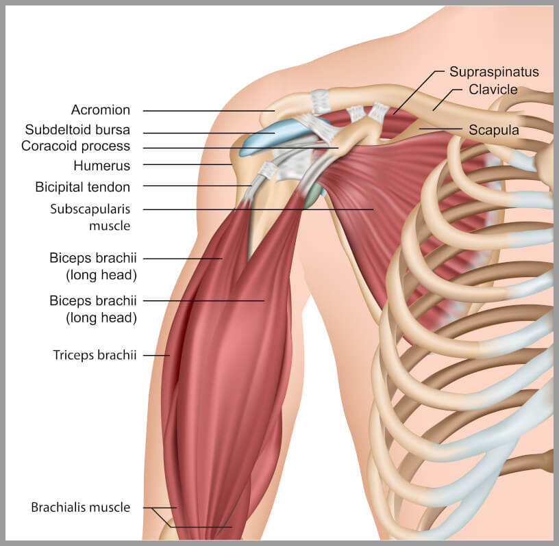 Shoulder Pain